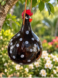 Handcrafted Chicken Gourd Birdhouse