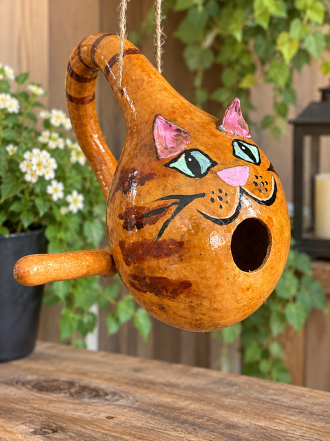 Handcrafted Cat Gourd Birdhouse – Orange Tabby