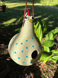 Handcrafted Hen Gourd Birdhouse