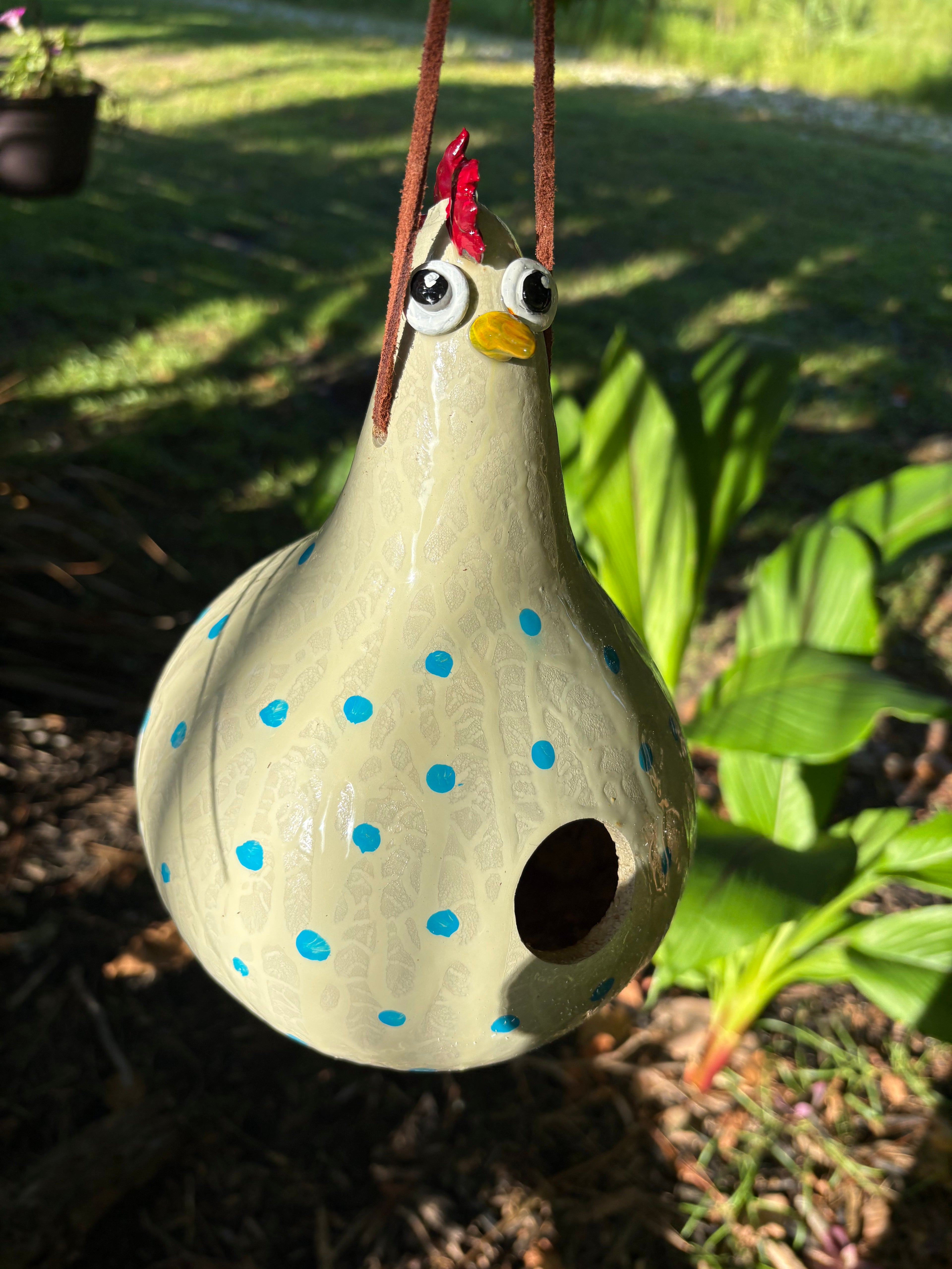 Handcrafted Hen Gourd Birdhouse